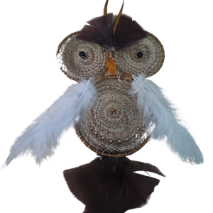 Handmade Wise Owl Dream Catcher